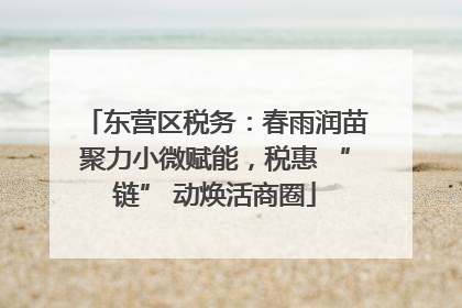东营区税务：春雨润苗聚力小微赋能，税惠 “链” 动焕活商圈