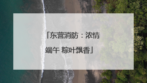 东营消防：浓情端午 粽叶飘香