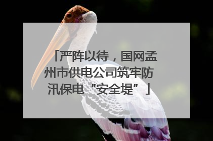 严阵以待，国网孟州市供电公司筑牢防汛保电“安全堤”