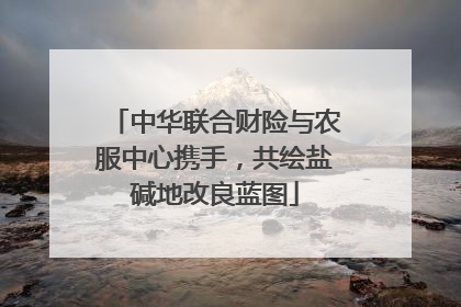 中华联合财险与农服中心携手，共绘盐碱地改良蓝图