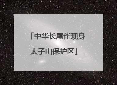 中华长尾雀现身太子山保护区