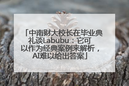 中南财大校长在毕业典礼谈Labubu：它可以作为经典案例来解析，AI难以给出答案