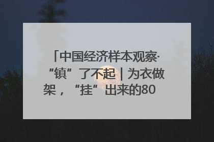 中国经济样本观察·“镇”了不起｜为衣做架，“挂”出来的80亿元“衣架产业”