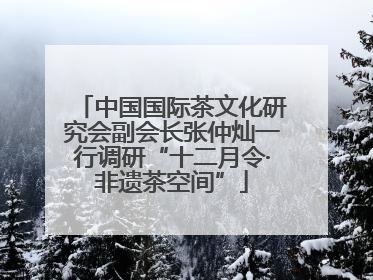 中国国际茶文化研究会副会长张仲灿一行调研“十二月令·非遗茶空间”