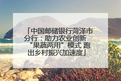 中国邮储银行菏泽市分行：助力农业创新 “果蔬两用”模式 跑出乡村振兴加速度