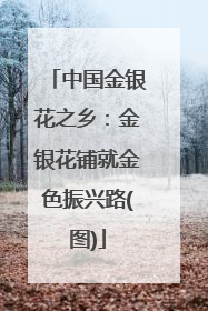 中国金银花之乡：金银花铺就金色振兴路(图)