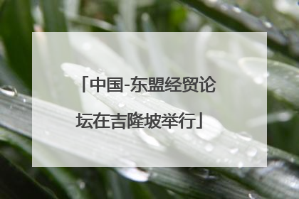 中国-东盟经贸论坛在吉隆坡举行