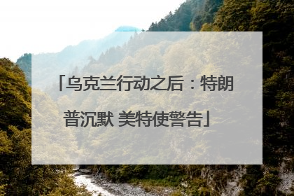 乌克兰行动之后：特朗普沉默 美特使警告