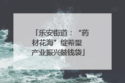 乐安街道：“药材花海”绽希望 产业振兴鼓钱袋