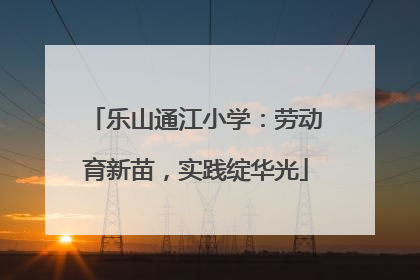 乐山通江小学：劳动育新苗，实践绽华光