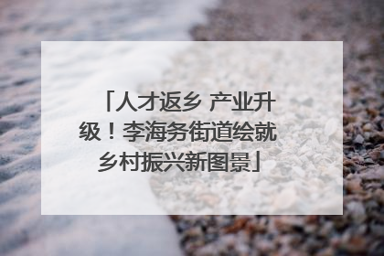 人才返乡 产业升级！李海务街道绘就乡村振兴新图景
