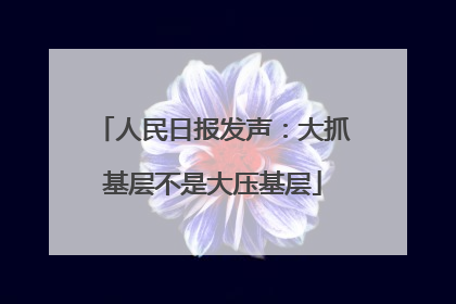 人民日报发声：大抓基层不是大压基层