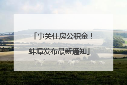 事关住房公积金！蚌埠发布最新通知