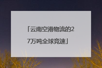 云南空港物流的27万吨全球竞速