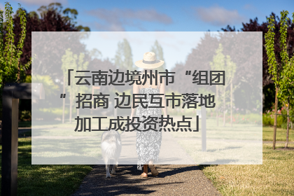 云南边境州市“组团”招商 边民互市落地加工成投资热点