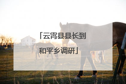 云霄县县长到和平乡调研