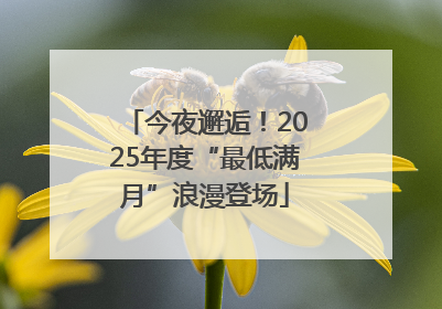 今夜邂逅！2025年度“最低满月”浪漫登场