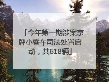 今年第一期涉案京牌小客车司法处置启动，共618辆
