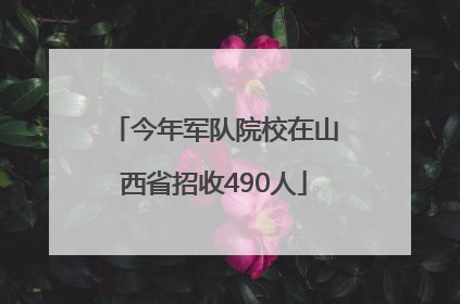 今年军队院校在山西省招收490人