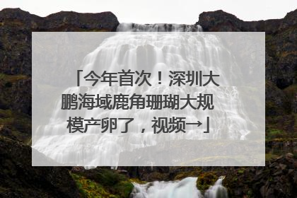 今年首次！深圳大鹏海域鹿角珊瑚大规模产卵了，视频→