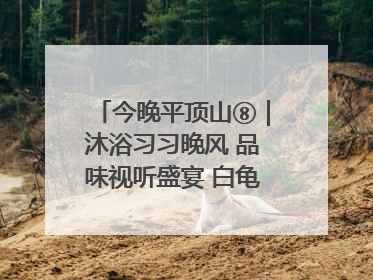 今晚平顶山⑧｜沐浴习习晚风 品味视听盛宴 白龟湖畔·草坪音乐会激情上演