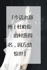 今话老郑州丨杜岭街：由村落得名，因方鼎惊世