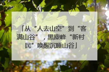 从“人去山空”到“客满山谷”，黑麋峰“新村民”唤醒沉睡山谷