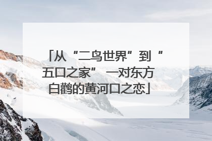 从“二鸟世界”到“五口之家” 一对东方白鹳的黄河口之恋