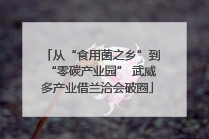 从“食用菌之乡”到“零碳产业园” 武威多产业借兰洽会破圈