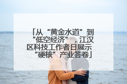 从“黄金水道”到“低空经济”，江汉区科技工作者日展示“硬核”产业答卷