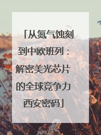 从氮气蚀刻到中欧班列：解密美光芯片的全球竞争力西安密码