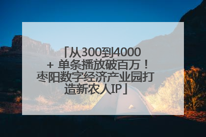 从300到4000+ 单条播放破百万！枣阳数字经济产业园打造新农人IP