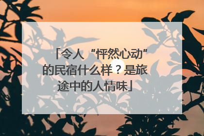 令人“怦然心动”的民宿什么样？是旅途中的人情味