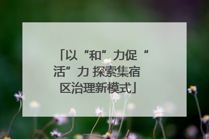以“和”力促“活”力 探索集宿区治理新模式