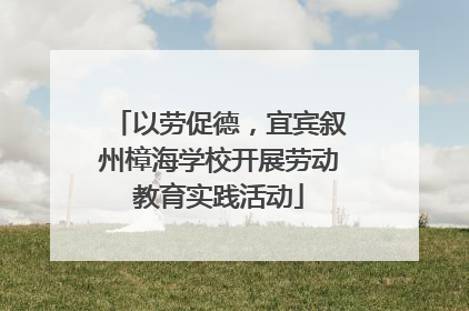 以劳促德，宜宾叙州樟海学校开展劳动教育实践活动