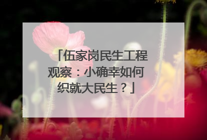 伍家岗民生工程观察：小确幸如何织就大民生？