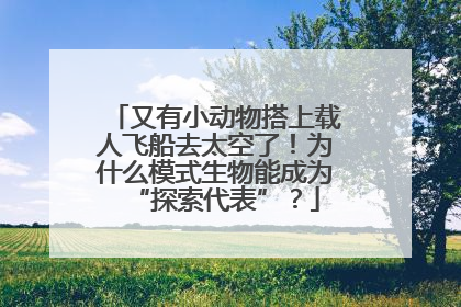 又有小动物搭上载人飞船去太空了！为什么模式生物能成为“探索代表”？