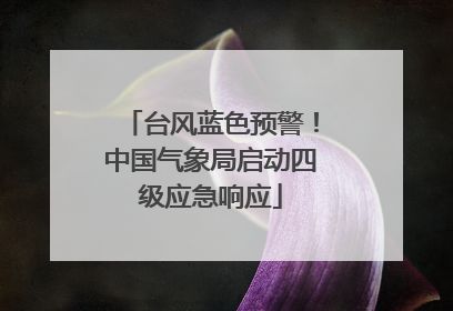 台风蓝色预警！中国气象局启动四级应急响应