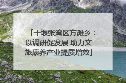 十堰张湾区方滩乡：以调研促发展 助力文旅康养产业提质增效