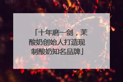 十年磨一剑，茉酸奶创始人打造现制酸奶知名品牌