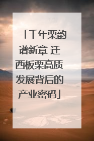 千年栗韵谱新章 迁西板栗高质发展背后的产业密码