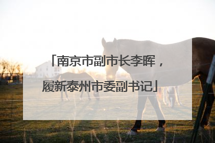 南京市副市长李晖，履新泰州市委副书记