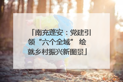 南充蓬安：党建引领“六个全域” 绘就乡村振兴新图景
