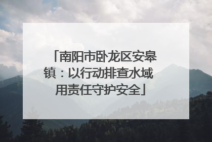 南阳市卧龙区安皋镇：以行动排查水域 用责任守护安全