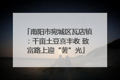 南阳市宛城区瓦店镇：千亩土豆喜丰收 致富路上迎“薯”光