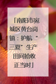南阳市宛城区黄台岗镇：护航“三夏”生产 田间抢收正当时