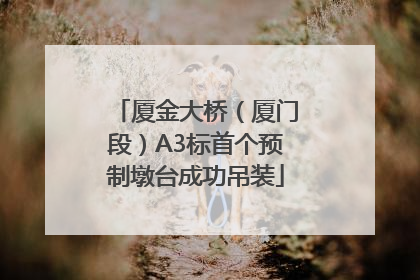 厦金大桥（厦门段）A3标首个预制墩台成功吊装