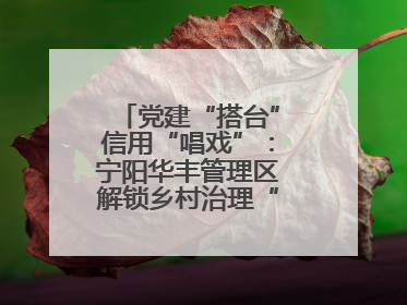 党建“搭台”信用“唱戏”：宁阳华丰管理区解锁乡村治理“信用密码”