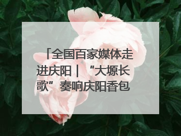 全国百家媒体走进庆阳｜“大塬长歌”奏响庆阳香包民俗文化节序曲
