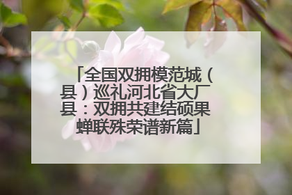 全国双拥模范城（县）巡礼河北省大厂县：双拥共建结硕果 蝉联殊荣谱新篇